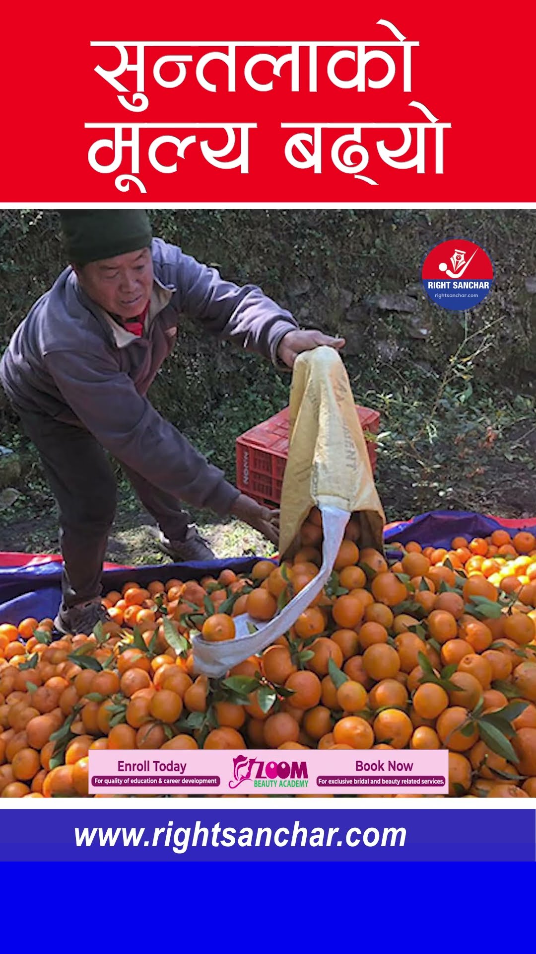 सुन्तलाको मूल्य बढ्यो #orange #suntala